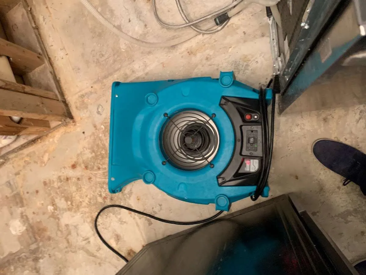 Air mover drying equipment for Mold Remediation & Removal in Opelousas