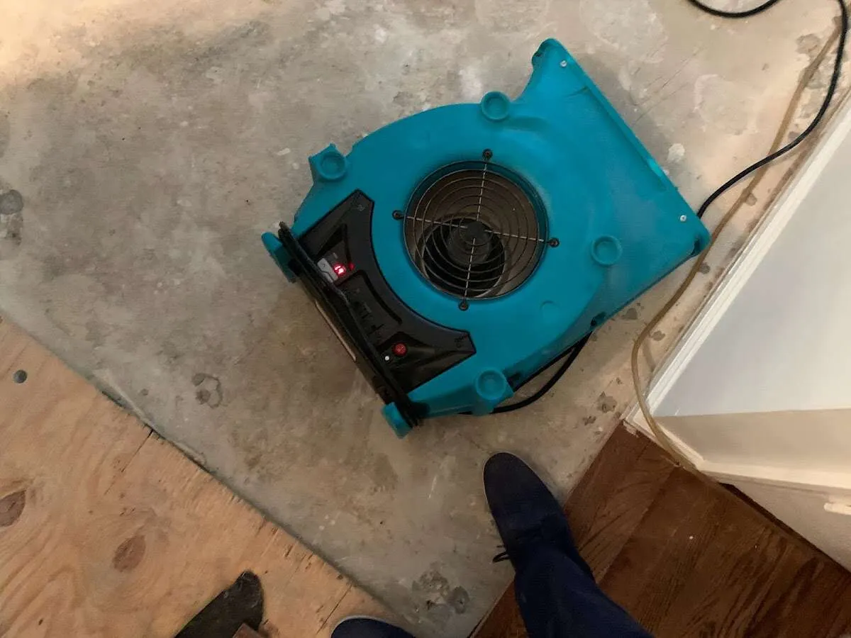 Air mover drying subfloor during Leak Detection & Repair in Opelousas